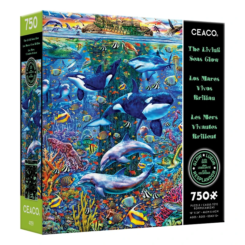 Assorted Deluxe 750 Piece Puzzle