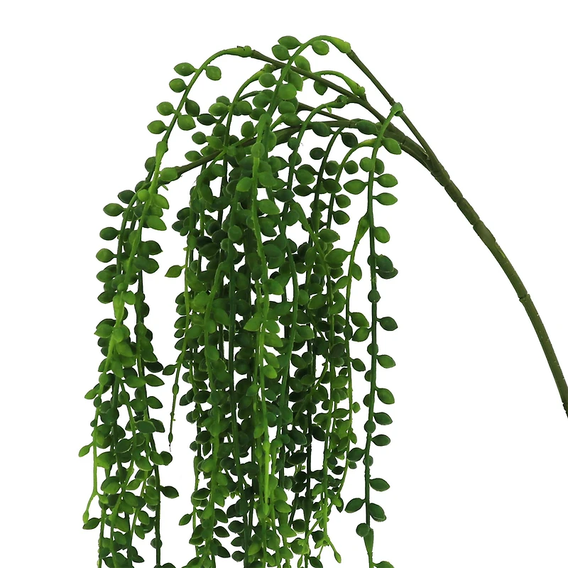 20" Hanging Succulent Stem by Ashland®
