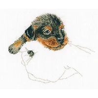 RTO Warmth in Palms Puppy Cross Stitch Kit