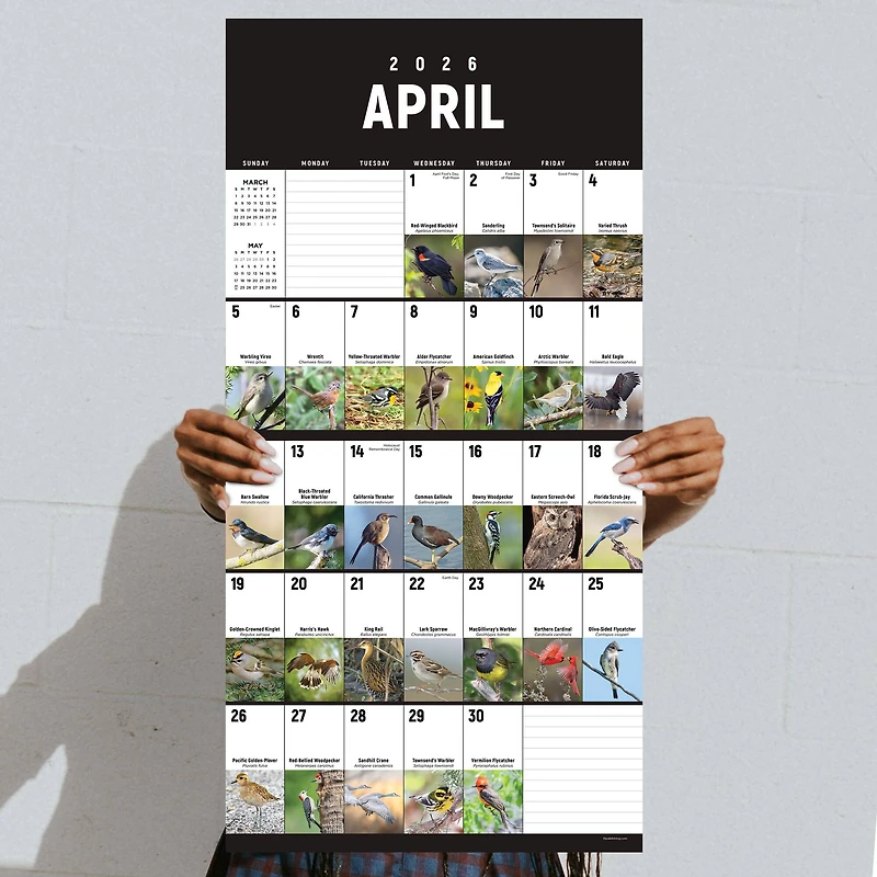 2026 Birds: Backyard and Beyond Wall Calendar