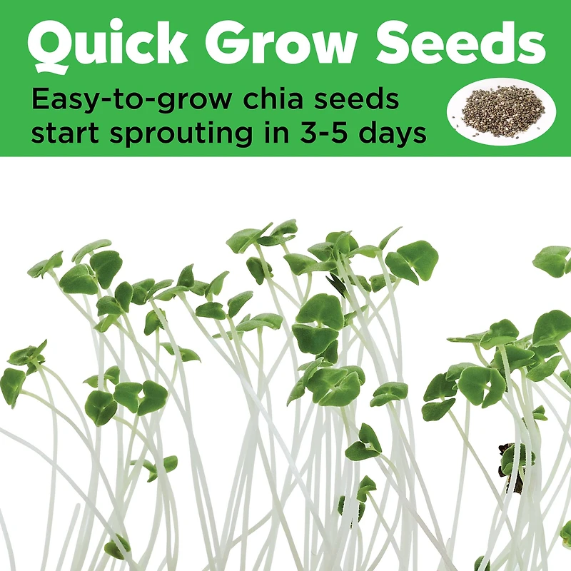 Creativity for Kids® Mini Garden Princess Kit