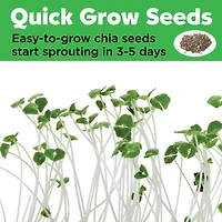 Creativity for Kids® Mini Garden Princess Kit