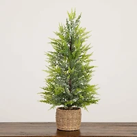 32in. Pre-Lit Artificial Lightly Snowed Cypress Christmas Tree with 30 Warm White LED Lights in Decorative Weaved Basket