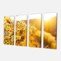 Designart - Bright Yellow Rural Garden Flowers