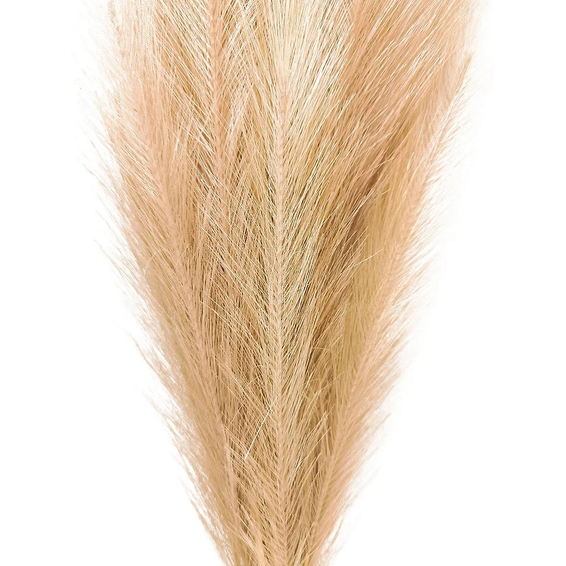 Wispy Pampas Grass Stem by Ashland®