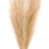 Wispy Pampas Grass Stem by Ashland®