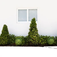 14" UV-Resistant Boxwood Ball Topiaries with Integrated Ground Stakes, 2ct.