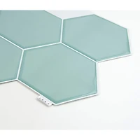 WallPops Hex Peel & Stick Backsplash Tiles