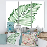 Designart - Tropical Leaf Of Monstera II