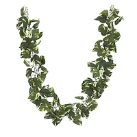 6ft. Variegated Pothos Chain Garland by Ashland®