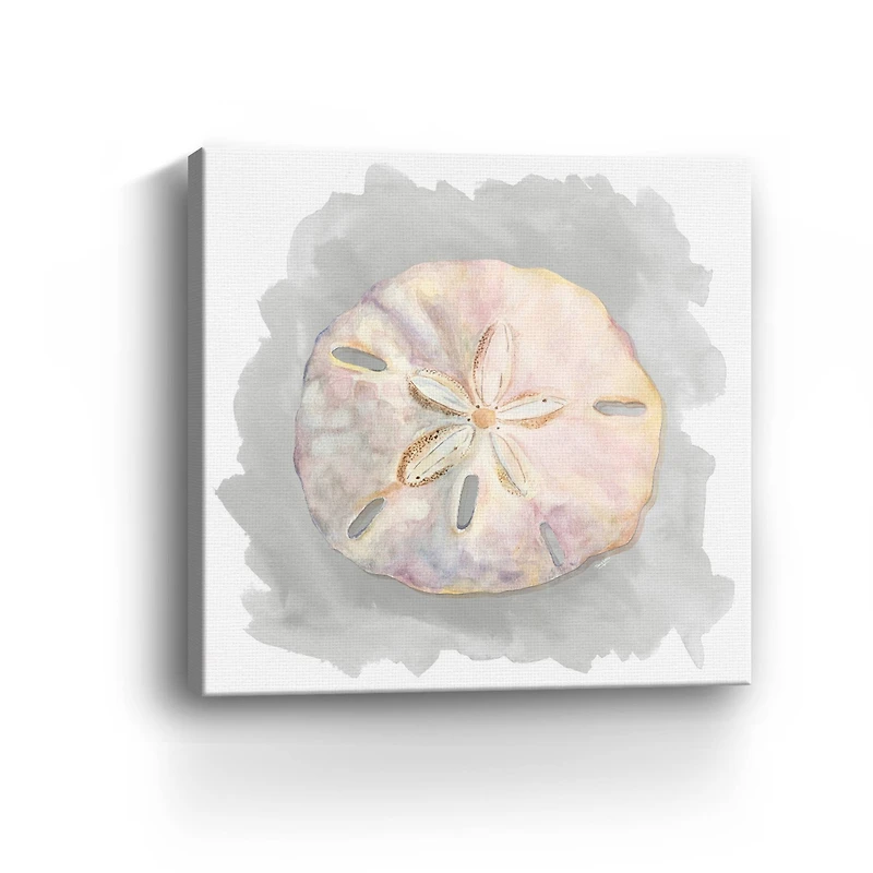 Shells On Grey IV Canvas Giclee