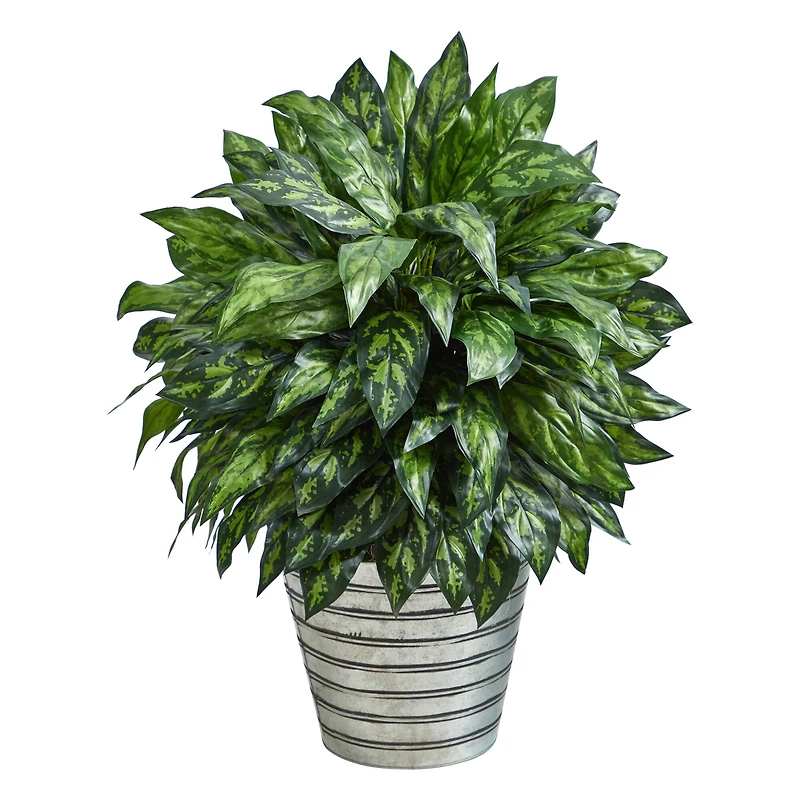 3ft. Silver King Plant in Decorative Tin Bucket
