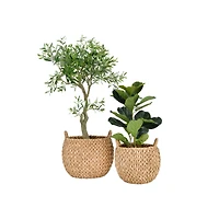 Hello Honey® Beige Round Woven Water Hyacinth Basket with Handles Set