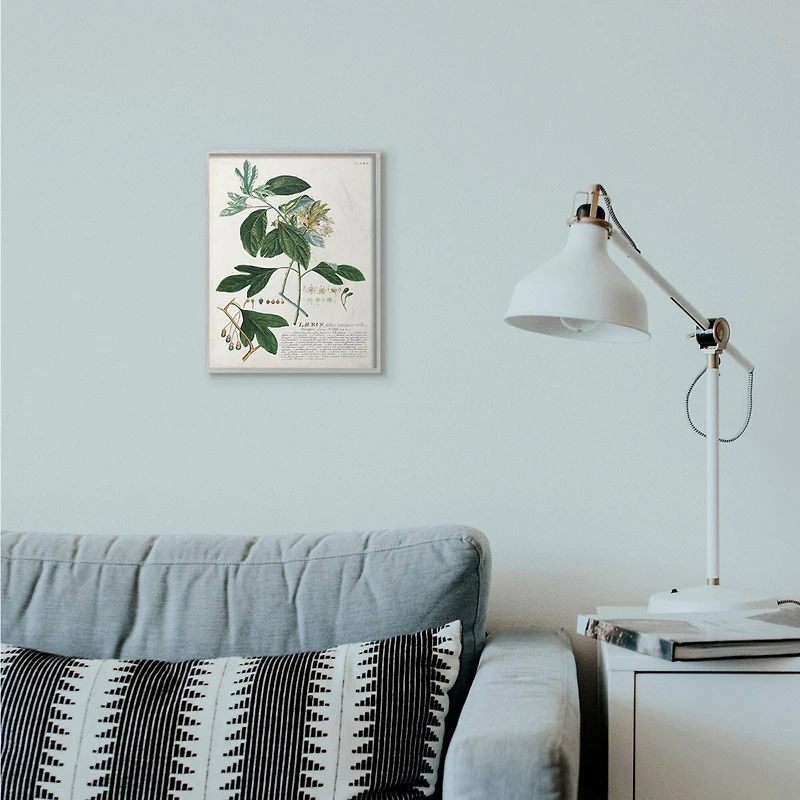 Stupell Industries Botanical Green Plant Illustration Gray Framed Wall Art