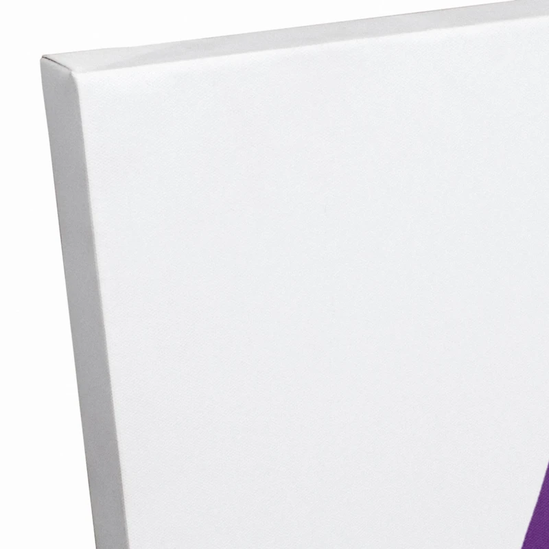 Laissez Les Bon Temps Rouler Mardi Gras Canvas Wall Art