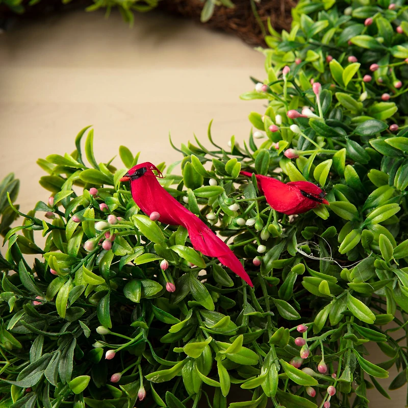 Cardinal Birds by Ashland®