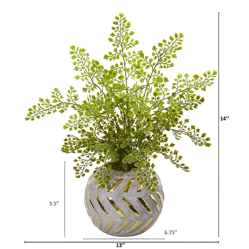 17" Maidenhair in Decorative Vase