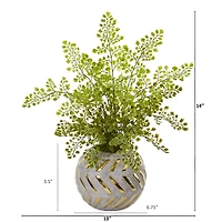 17" Maidenhair in Decorative Vase
