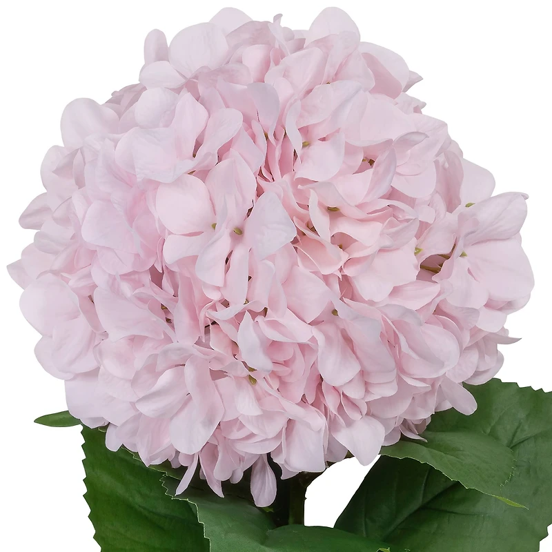 41" Hydrangea Oversized Stem by Ashland