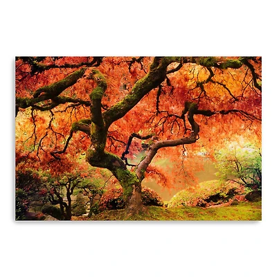 Lumaprints 24" Autumn Symphony Canvas Giclee Wall Art