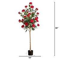 5ft. Potted Red Camellia Rose Tree