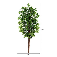 5ft. Artificial Double Trunk Ficus Tree