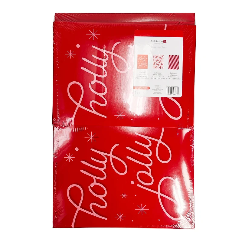 Holly Jolly Folded Gift Boxes Set by Celebrate It™