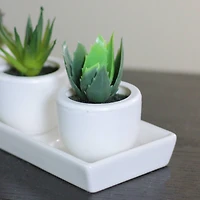3.5" Tabletop Faux Succulent Planter with Pot