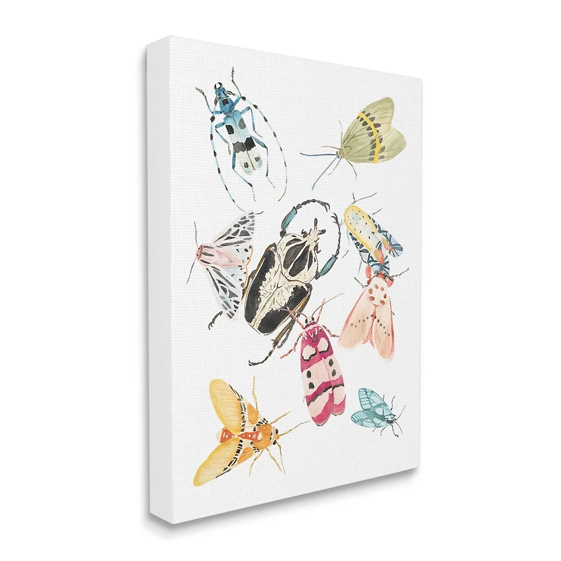 Stupell Industries Garden Insect Arrangement Charming Winged Creatures Canvas Wall Art