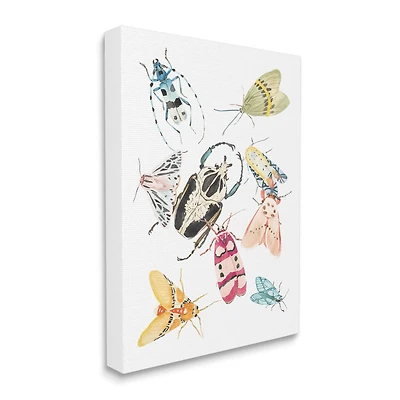 Stupell Industries Garden Insect Arrangement Charming Winged Creatures Canvas Wall Art