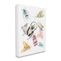 Stupell Industries Garden Insect Arrangement Charming Winged Creatures Canvas Wall Art