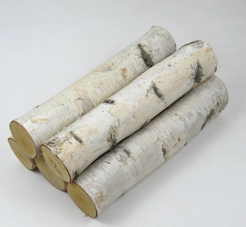 Wilson® Enterprises 5"-6" Large White Birch Fireplace Set, 5ct.