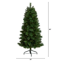 5ft. Unlit Slim West Virginia Mountain Pine Artificial Christmas Tree