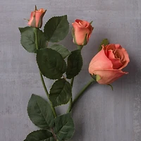 6 Pack: Rose Spray by Ashland