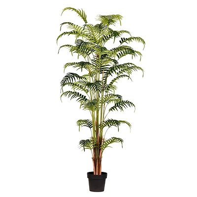 6ft. Potted Fern Palm with Real Touch Leaves