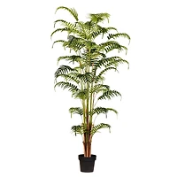 6ft. Potted Fern Palm with Real Touch Leaves