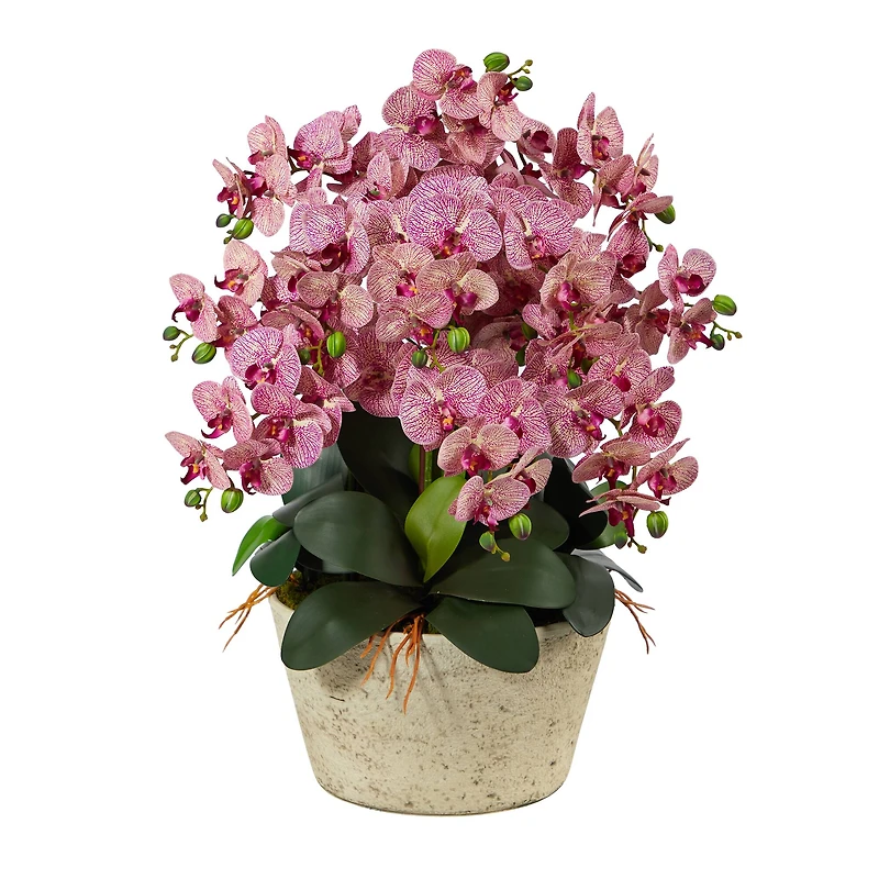 3ft. Moth Orchid Arrangement in White Vase