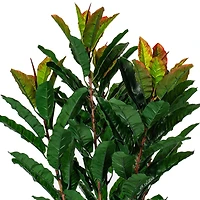 34" Artificial Green Myrtle Real Touch Plant