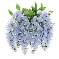 Blue Wisteria Bush by Ashland®