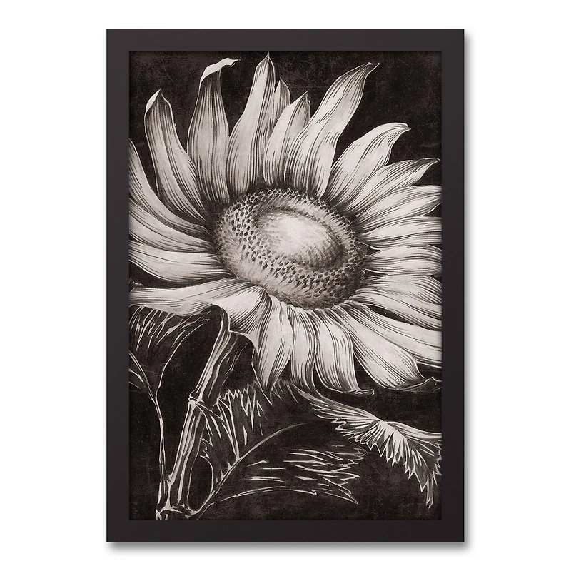 White Sketched Sunflower Black Framed Canvas