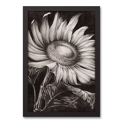 White Sketched Sunflower Black Framed Canvas