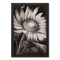White Sketched Sunflower Black Framed Canvas
