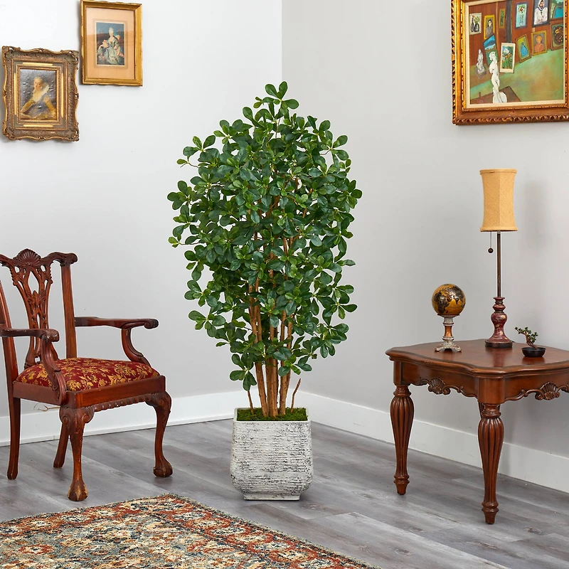 5.5ft. Black Olive Artificial Tree with 1365 Bendable Leaves in White Planter