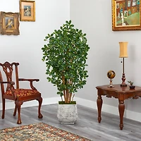 5.5ft. Black Olive Artificial Tree with 1365 Bendable Leaves in White Planter
