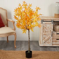 4ft. Potted Yellow Autumn Maple Tree