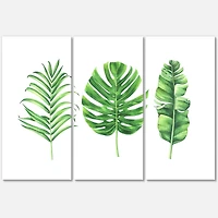 Designart - Tropical Leaf Of Monstera IV