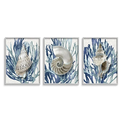 Stupell Industries Trio of Shell Coral Blue Beach Design in Gray Frame Wall Art