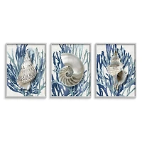 Stupell Industries Trio of Shell Coral Blue Beach Design in Gray Frame Wall Art