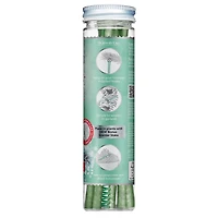 ScentSicles® Icicles on Spruce Scented Ornament Sticks, 6ct.