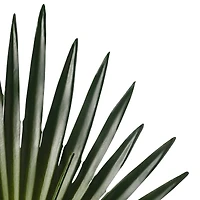 Tropical Fan Palm Stem by Ashland®